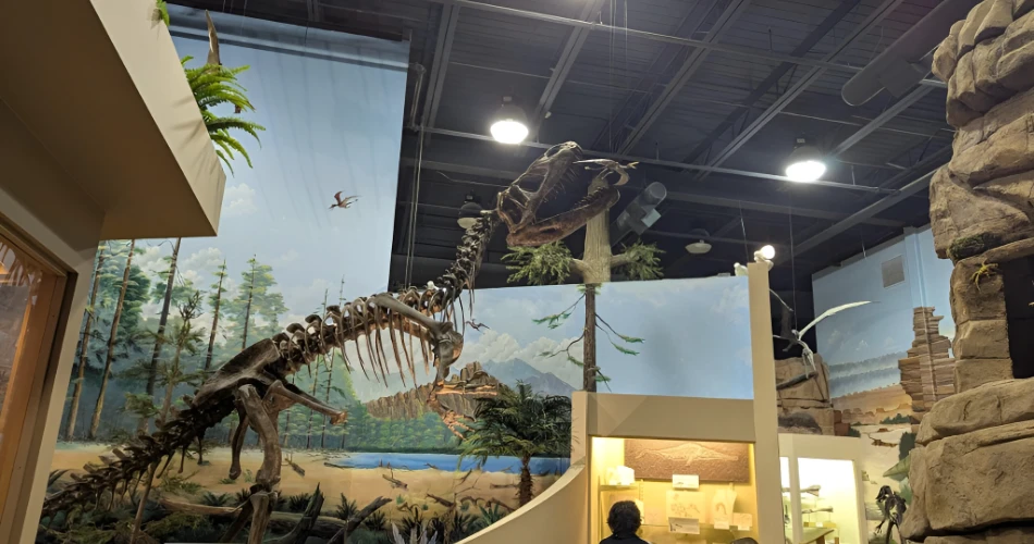 10 Best Attractions in Cocoa Beach