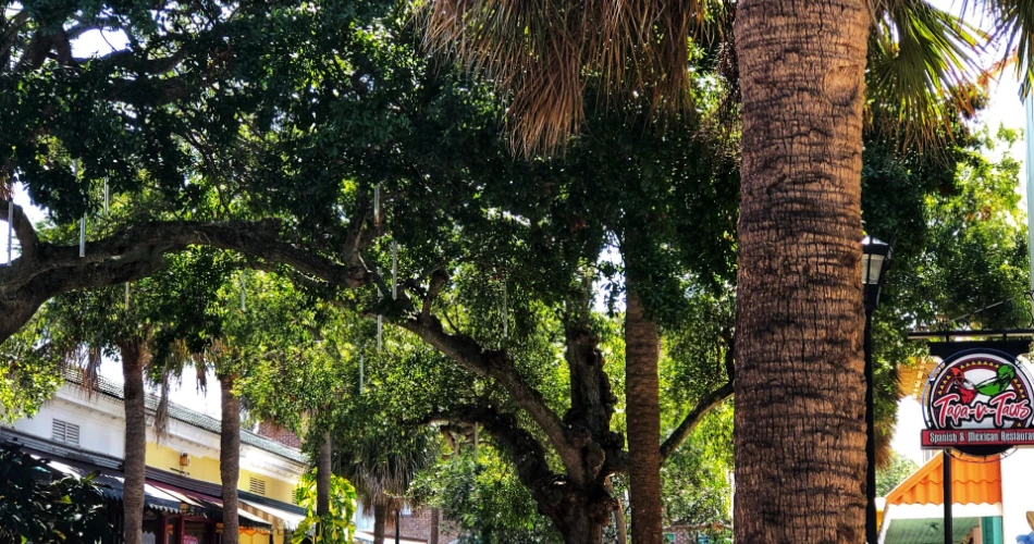48 Hours in Cocoa Beach, FL