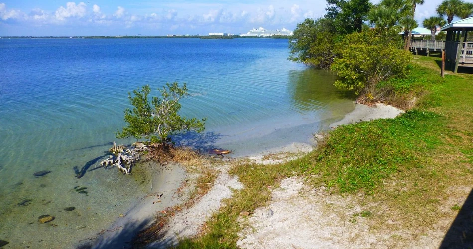 How to Spend 24 Hours in Cocoa Beach, Florida 