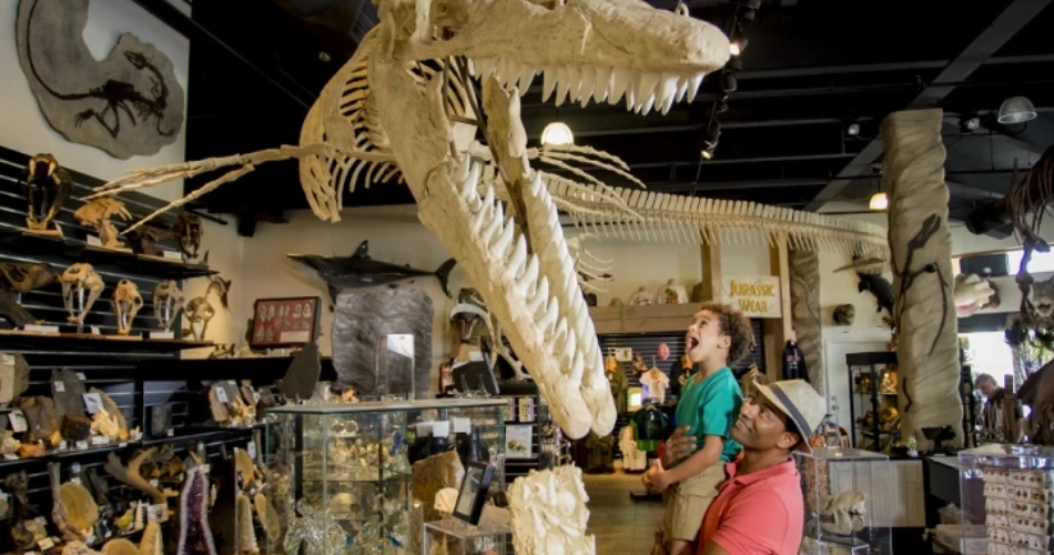 10 Kid-Friendly Things to Do in Cocoa Beach, FL