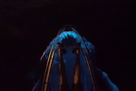 Tour image 3