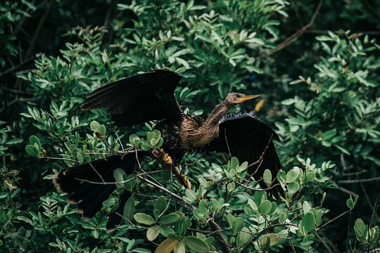 Tour image 9